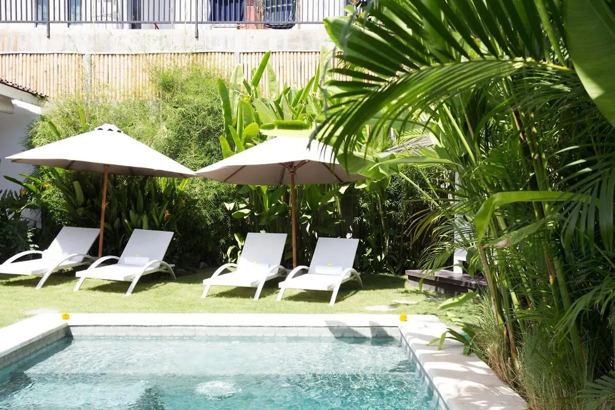 Bear Cottage 4 Bedroom Luxury Villa - Petitenget, Seminyak